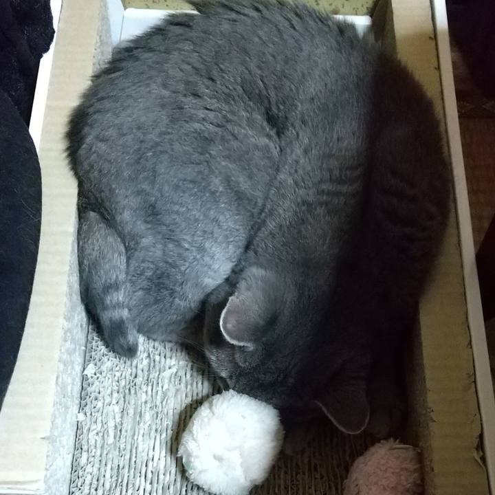 B65cfd7b bdf0 45f9 8458 9de69e8a5a0a 1630510851778