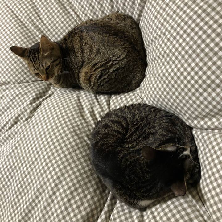 B65d0394 69aa 4b86 a1b3 05188e9251a7 1516193686743