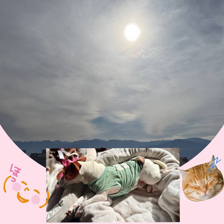 B65d4235 9f04 4aa6 a32f c8f198c6daef 1776035597872