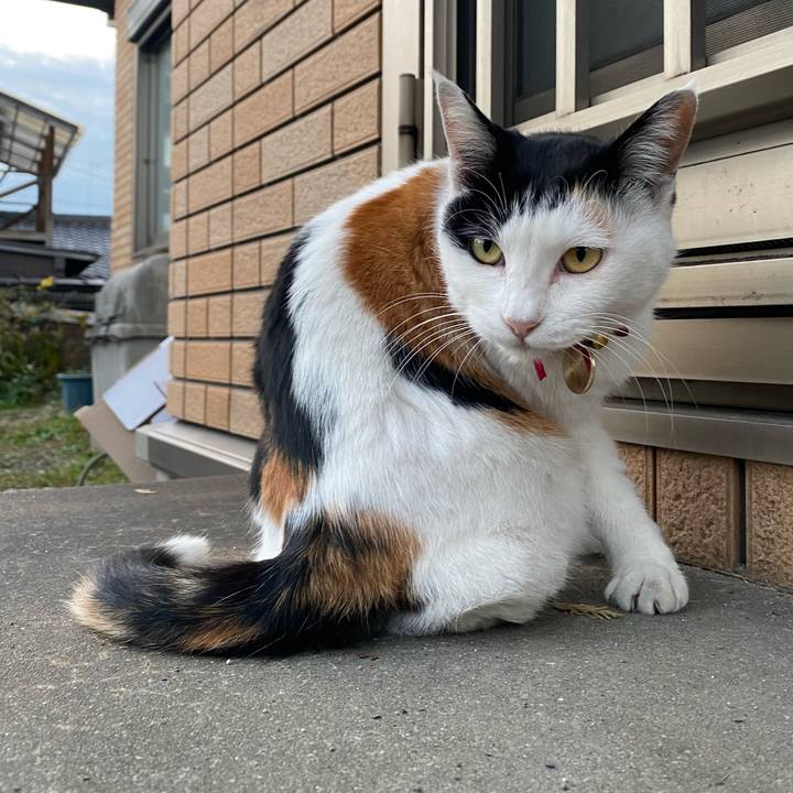 B65d519b 07d9 4238 8de2 4f8cf18373da 1639088553439