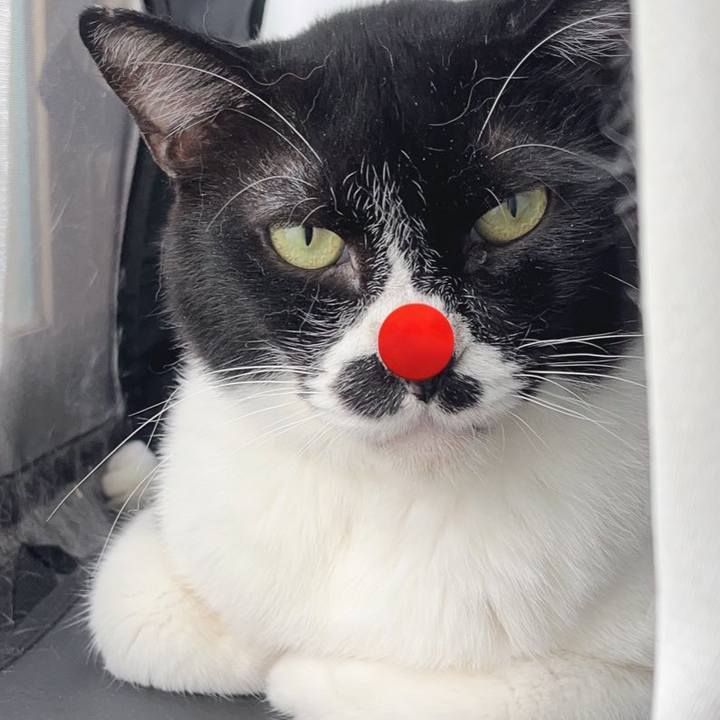 B65d735c 0200 45ef 8a15 c849f3046a4b 1691502729713