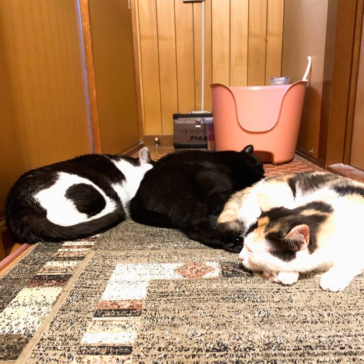 B65d8ec4 200a 444c 9a79 b72eb67ccb7b 1569377086990