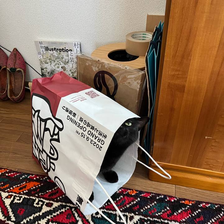 B65dc350 97f5 4e6a b627 0c7454435b8e 1697415346224