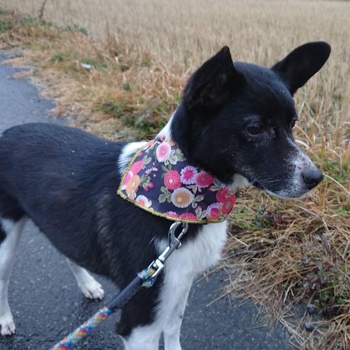 B65dc394 aa93 4d49 8358 d7b5009d4a04 1546164530880