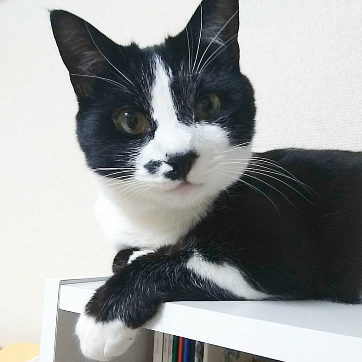 B65de3ec a9e5 40c2 a2ba 112b527fb875 1524311328050