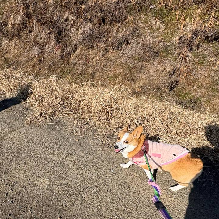 B65df7c1 3574 48e4 a183 dab8ac8f89fe 1768025294730