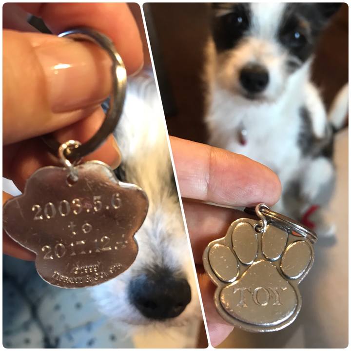 B65dfdc9 7503 4480 8886 a573dfbe1422 1536406453251