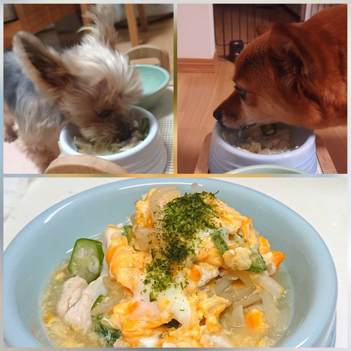 B65dfdf3 75ad 4549 b3f4 109cde4d08f8 1588765005480