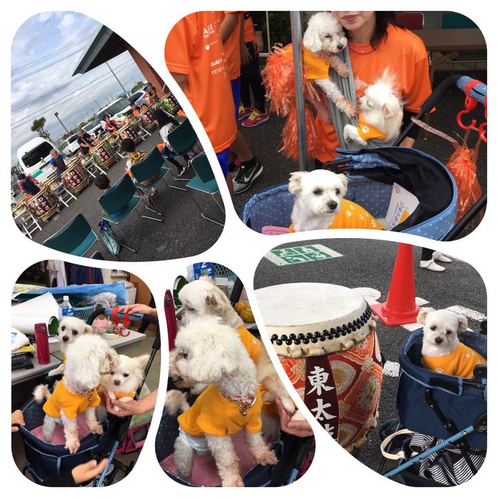 B65e23bc b23f 4533 ba62 700e32009659 1539418489676