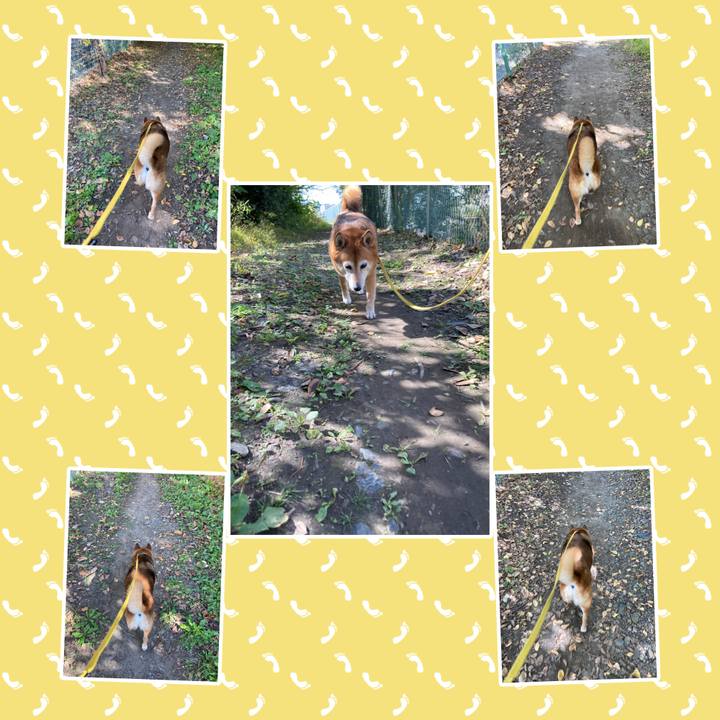 B65e4306 468b 41e5 9575 c6c9518aa72d 1636174465145