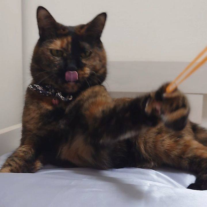 B65e464a a079 416d bc62 d8e077bef38e 1760877482384