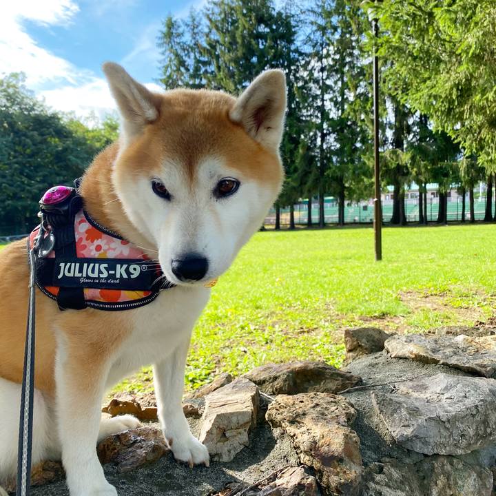 B65e4b32 78e3 46d4 8846 0d9a20a47903 1629677976897