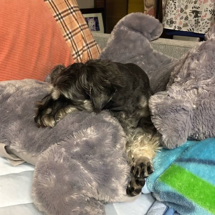 B65e6a6c b2a9 4500 b72c 563a52bd53d5 1624201029602