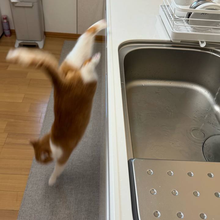 B65ebc43 d875 442d bd2a 078400527fd2 1765161201675