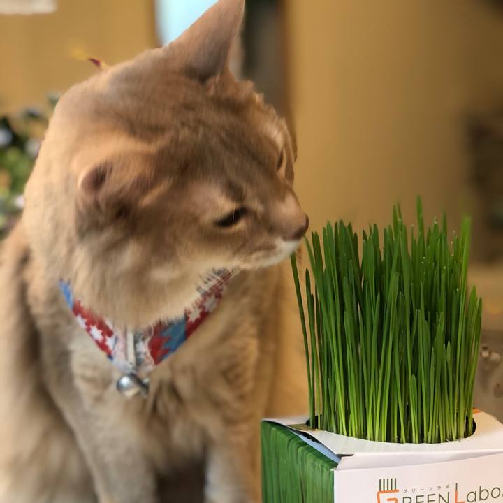 B65ecbd2 21e4 470f b82e 52a53a511e24 1648780036934