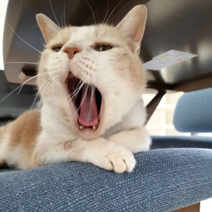 B65ef337 f9a9 4b7d a33e 0c683c13dd58 1686182623935