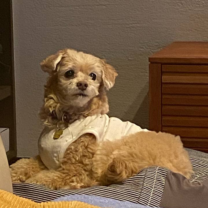 B65f2d0b 307b 4875 8333 d7617a69b825 1679302831653