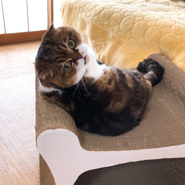 B65f6e85 e4eb 4c5a bd65 564422d5743f 1552703852308