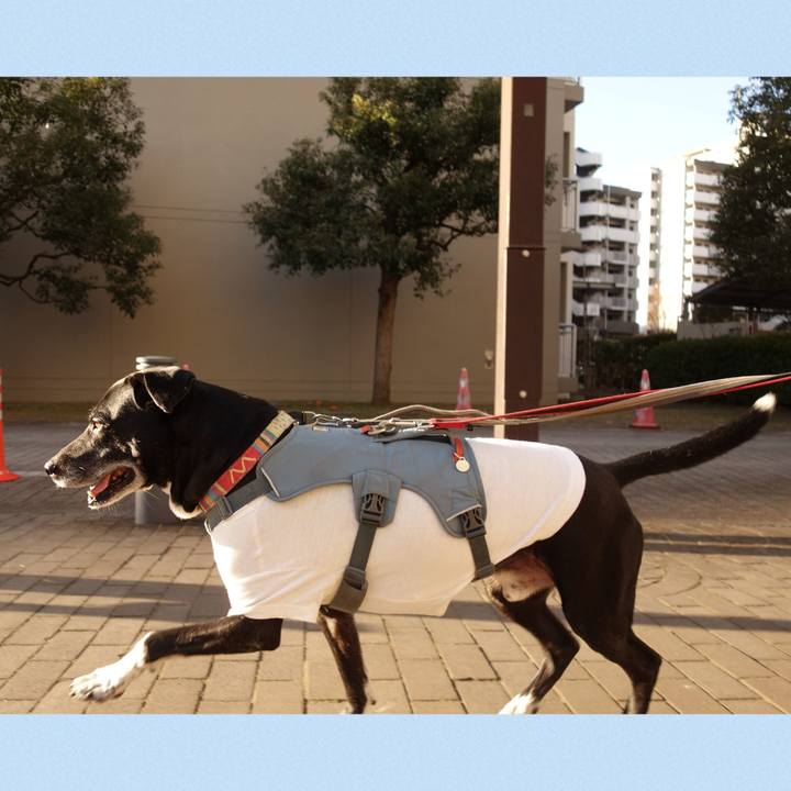 B65fb1ea 807e 4156 83eb 8c5c08a51e54 1739580241104