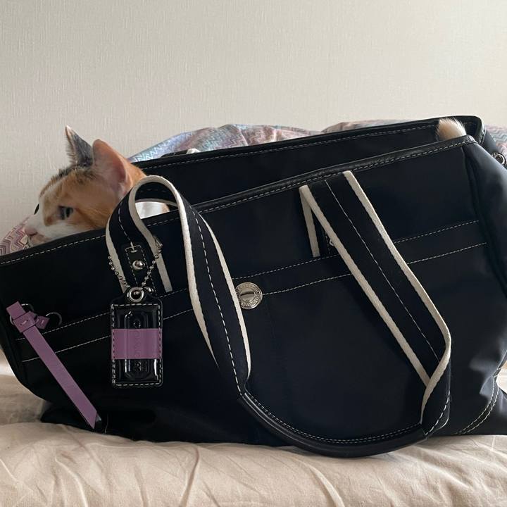 B65fdfe7 5bb2 41f7 928a 7e5ddc66ec85 1725913831445