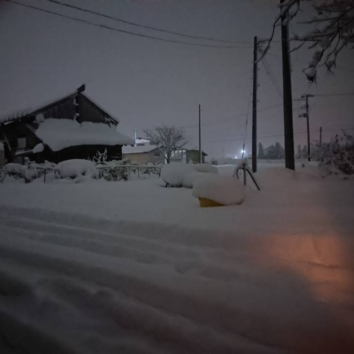 B65ff228 a849 41fe a931 ce6ad265390b 1608029996878