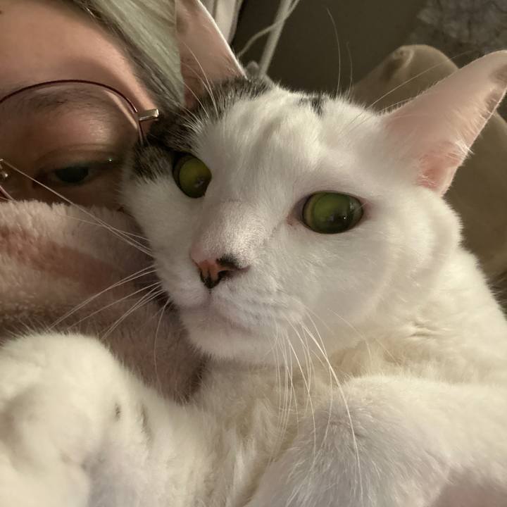 B660270d d70a 4929 bcff 688b644f1129 1765848508239