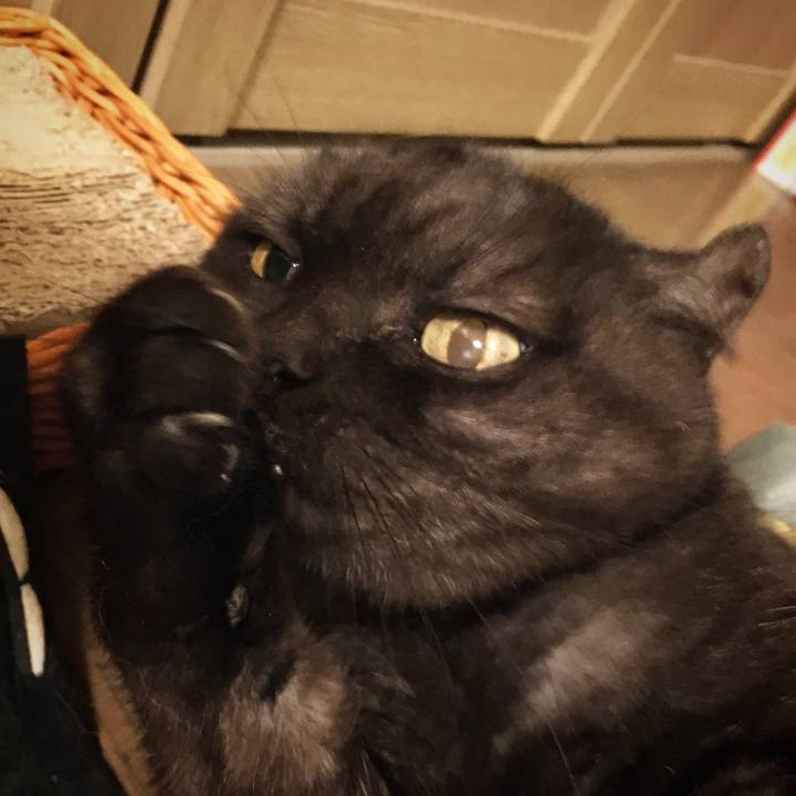 B6602ff8 f188 4b3e 8da8 a74a2f187c33 1573564545526