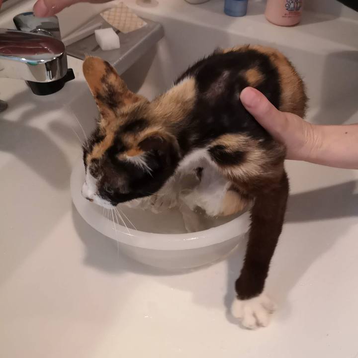 B6603e74 c60d 41b8 a2b5 6fa37fcfcb1c 1771543931194