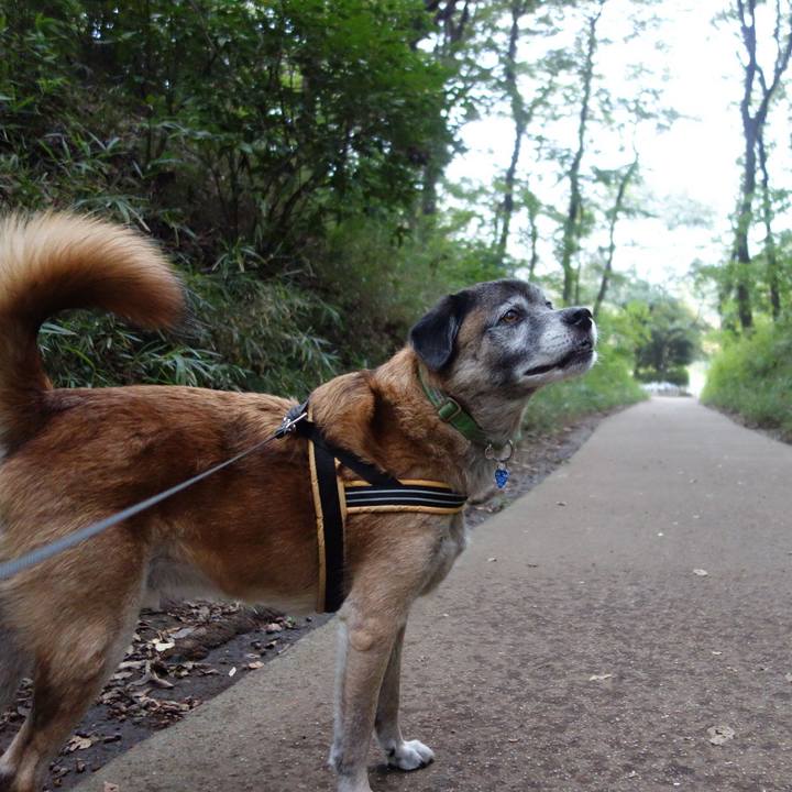 B6604199 5f45 4f47 98c0 5d9cdbf8dc75 1538271022603