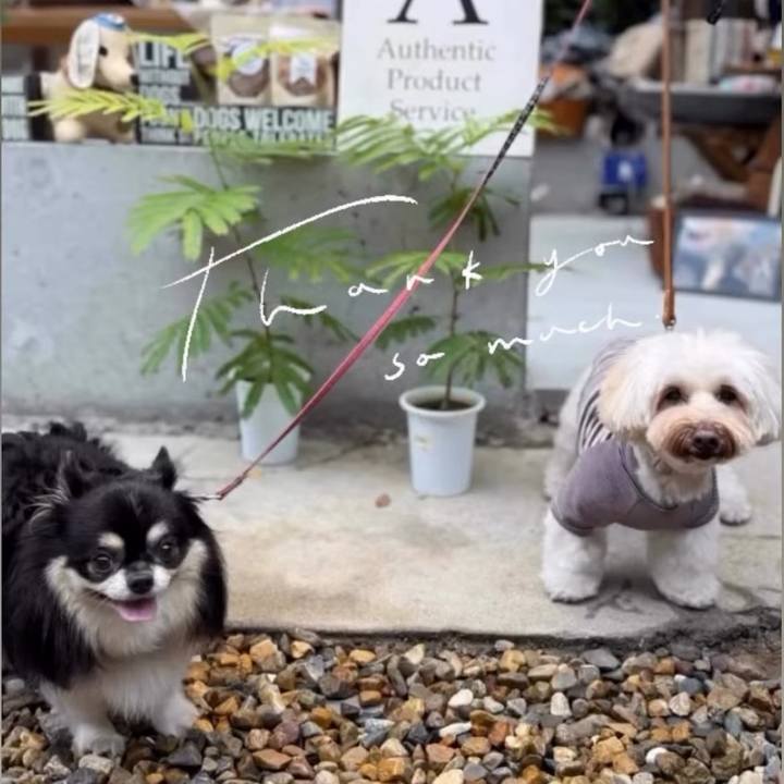 B66046f9 670c 4809 9b24 b1994fa4fe25 1759803278441