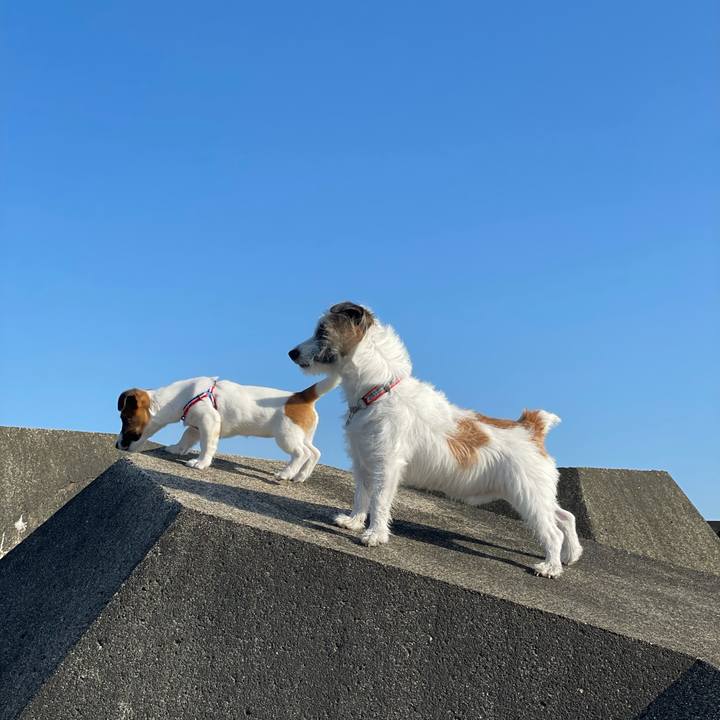 B6606eed 43c0 4a9a aae9 bbbeaab1f842 1618529272180