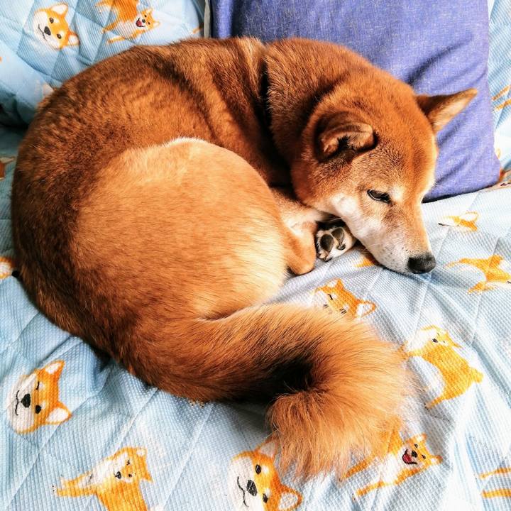 B660915a c2e4 4348 bb06 797f9193c0d9 1616379714813