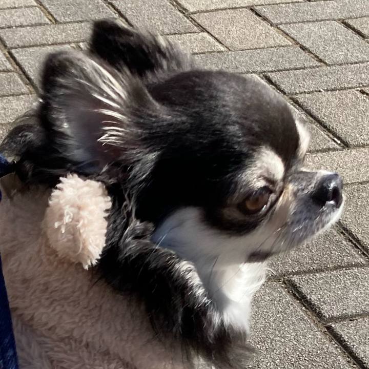 B660bf03 0c25 4893 813d 13ef7922a23d 1674964857084