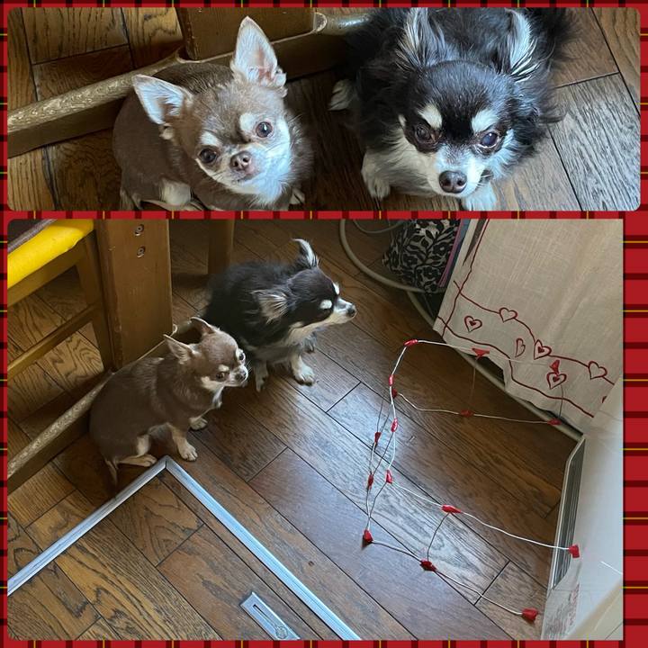 B6610483 9545 4589 a9ab b7df0d5c7cd4 1673513057443