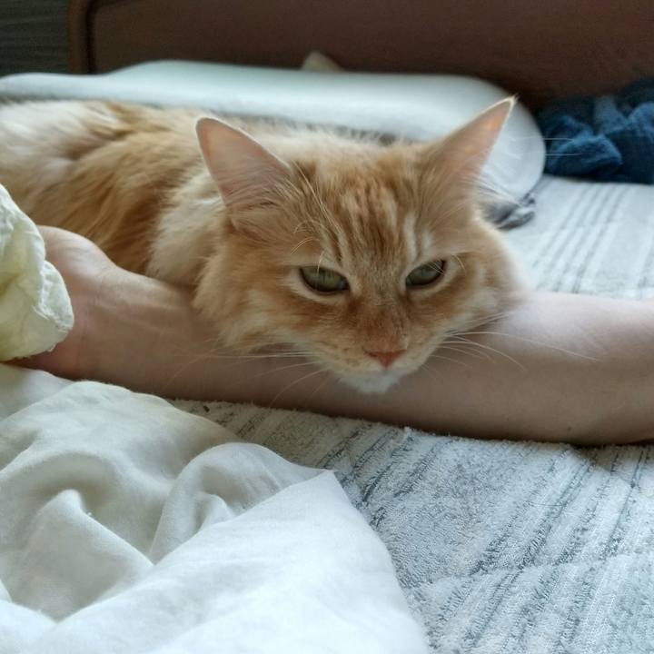 B6610487 3bd3 4554 b7ae e31e7fa3b84b 1717821613338