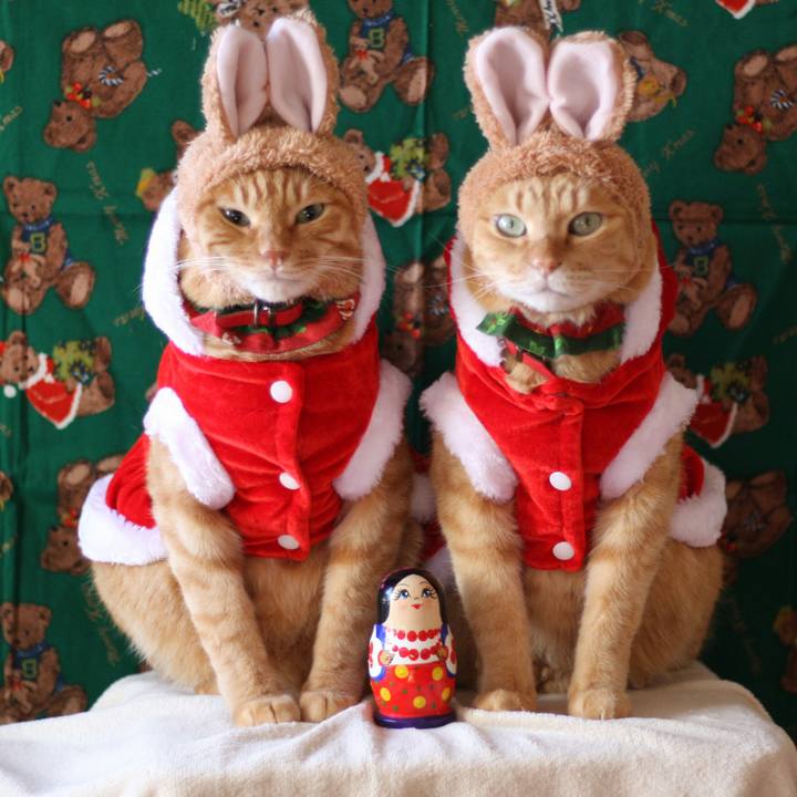 B661bcaf 16d7 429e 972b 3770fc0c09c3 1513746503334