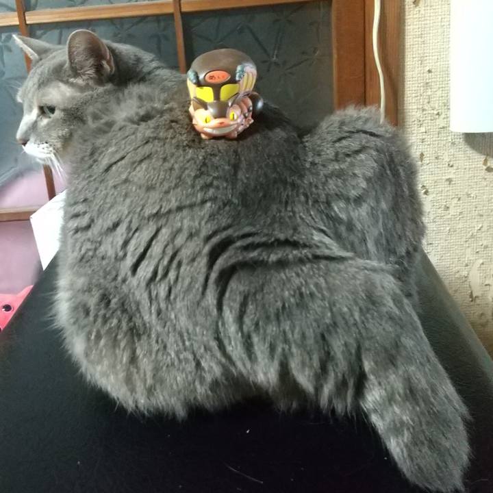 B661f19e 08e9 454d 93a7 34f5ccb2f0e6 1660915174681