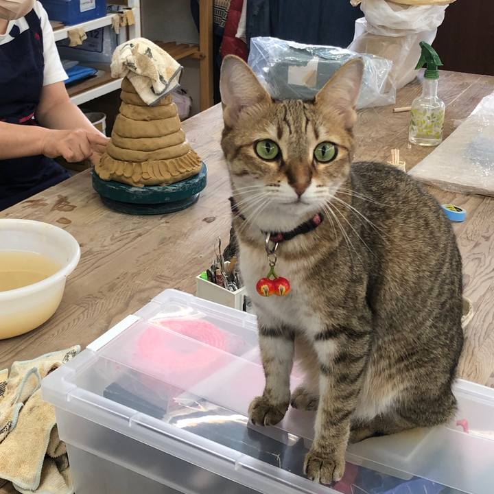 B6620966 5472 4e48 b936 7e84278914ce 1664956797468