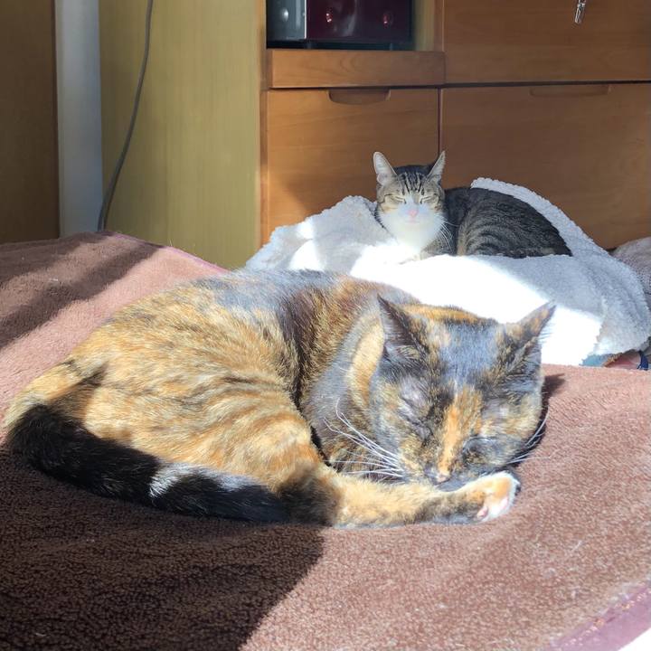 B66215ab 4b74 49f5 9316 67a6b9e67c66 1740290961390