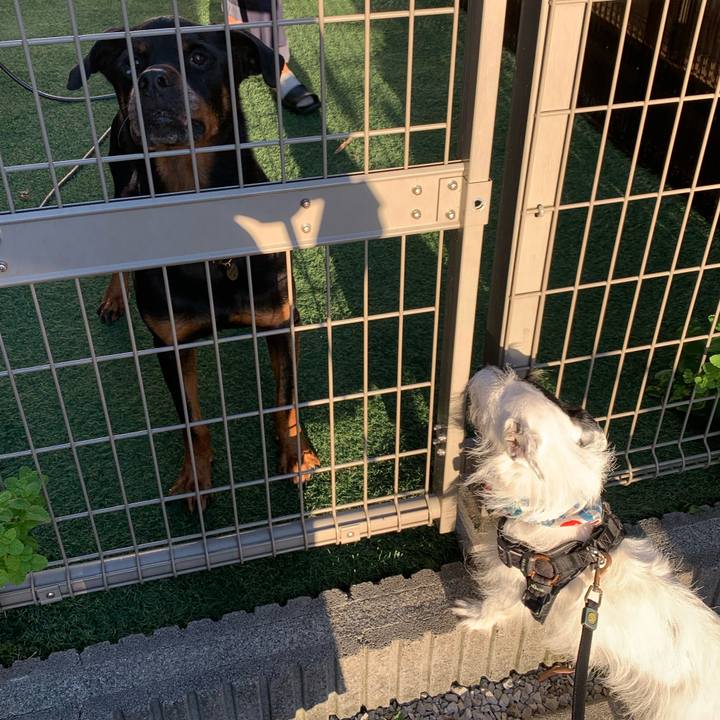 B6621623 99e9 418d a36f 55bc23b5ed8d 1753781696161