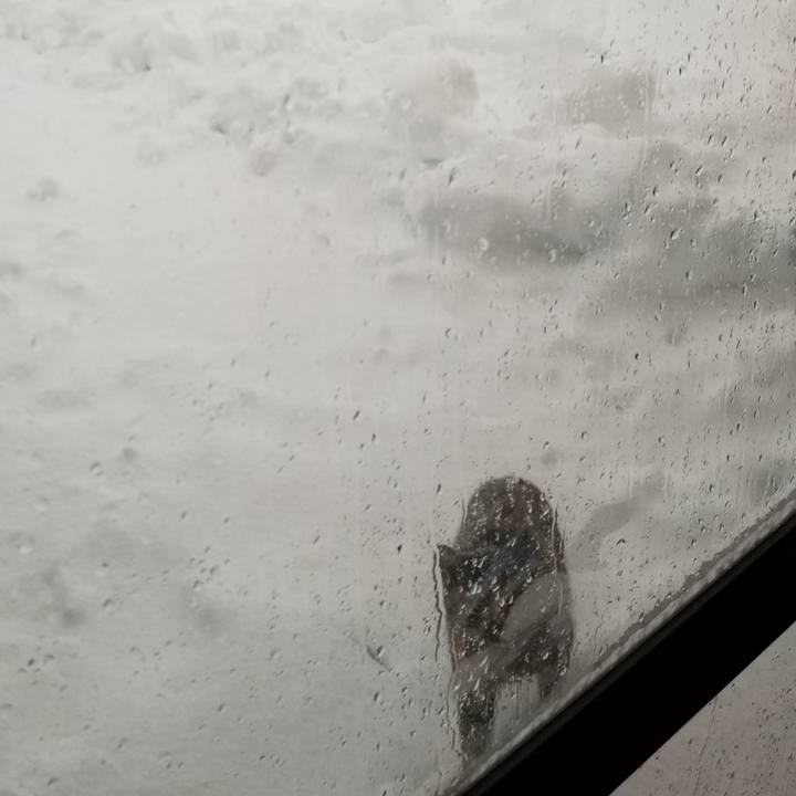 B6622287 b993 4849 b01c 3077906e0491 1671757382928