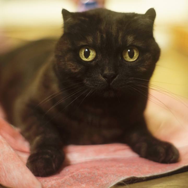 B66240bc 1bad 4442 b51c 77bc4cce711a 1524149895414