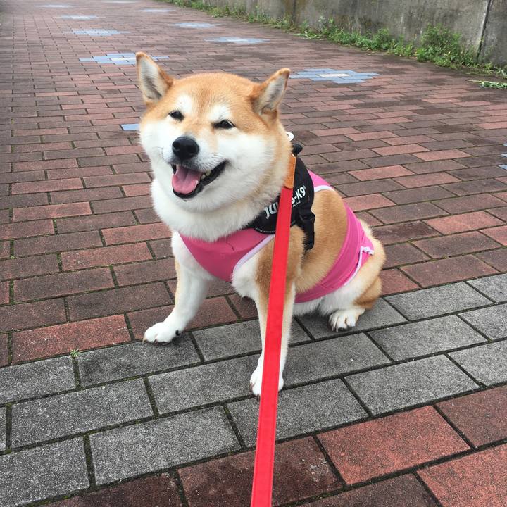 B6624b58 5573 4f8f 86dc 654358a73469 1592881572286