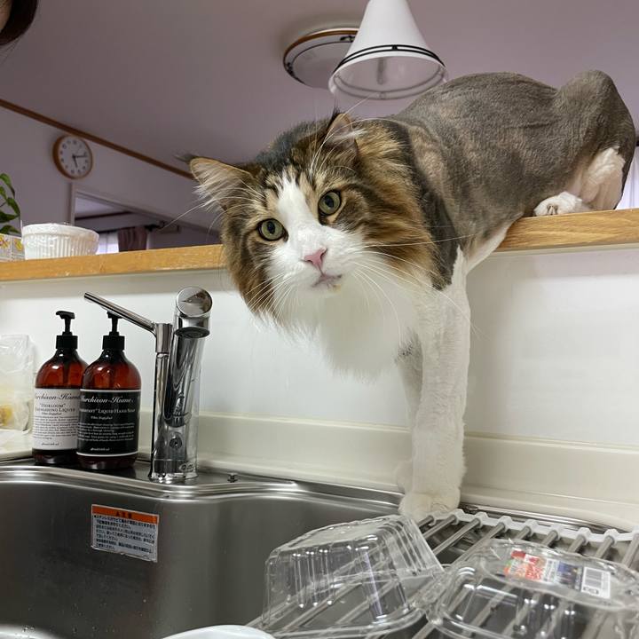 B662517a f80a 4456 9383 4deae41b3ff9 1719260473366