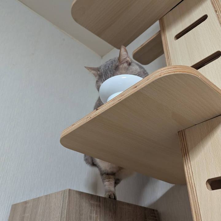 B6625d3c 5df4 4d0b a019 0cc63cf030ca 1739173832226