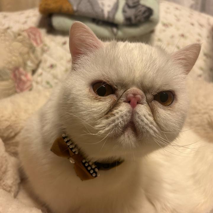 B662b48f 832a 46e4 b91e 60551d9c3cd7 1769597988004