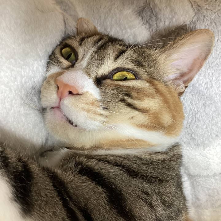 B662bfdf fa5a 47fb 8349 0209046c219a 1704648725108