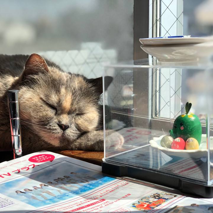 B662c27e 41b9 4720 90dc 3cf45058b582 1774285298676