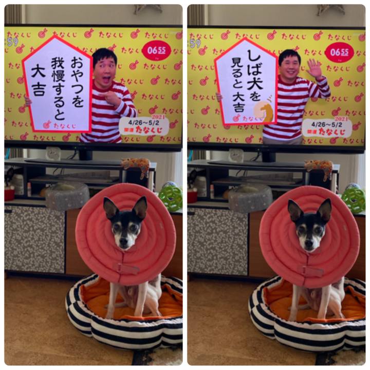 B662d1ae 8514 4455 8022 189bea48d2e2 1619388470702