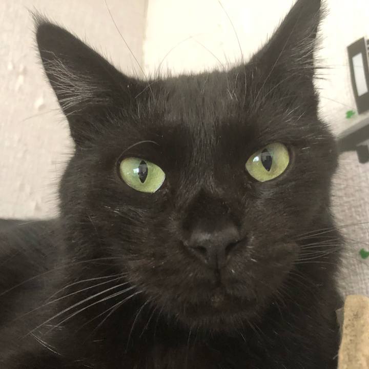 B662e2bf 5e07 49e5 82e2 093958fcd6ef 1565046759047